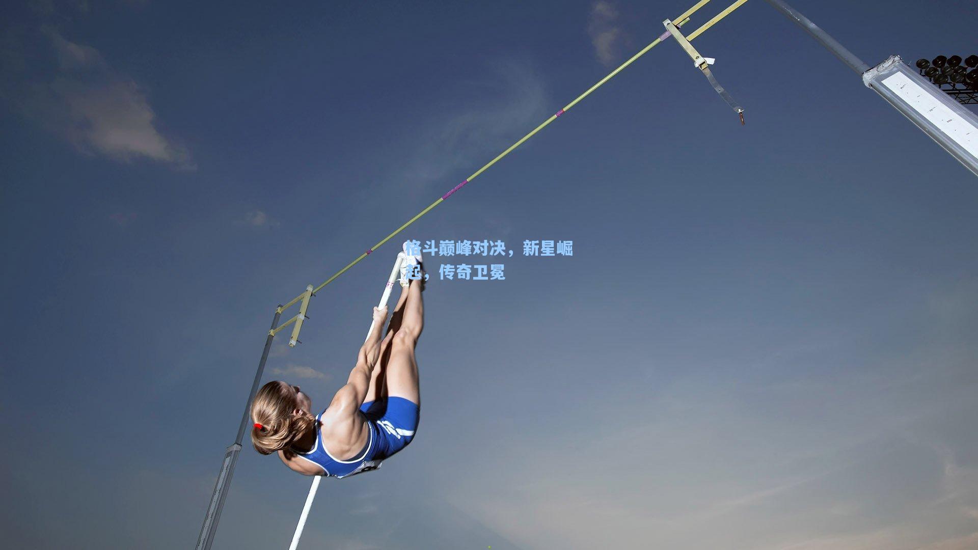 格斗巅峰对决，新星崛起，传奇卫冕